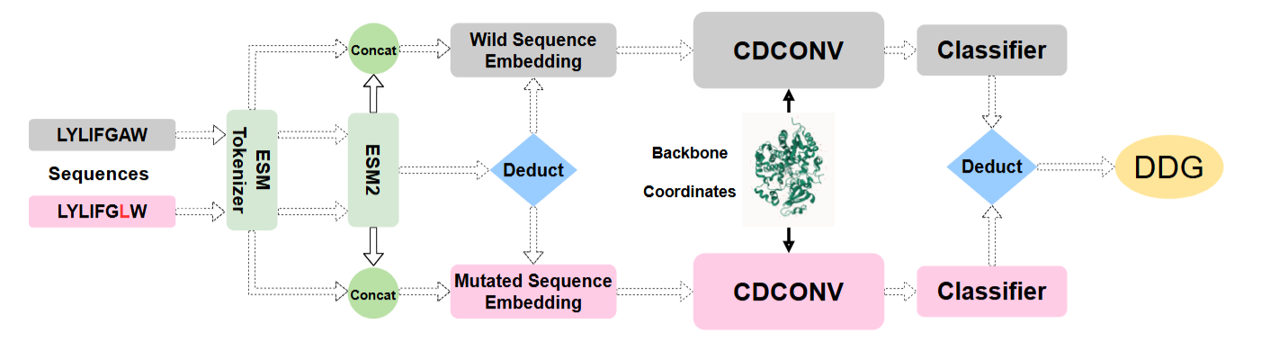 Efficiently Predicting Protein Stability Changes Upon Single-point Mutation with Large Language Models